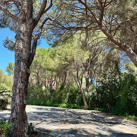Duplex-penthouse With Stunning Panoramic View Marbella