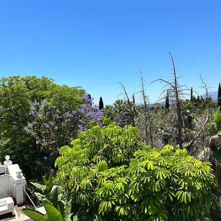 Apartment Duplex-penthouse With Stunning Panoramic View *