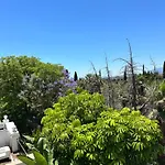 Apartamento Duplex-penthouse With Stunning Panoramic View *